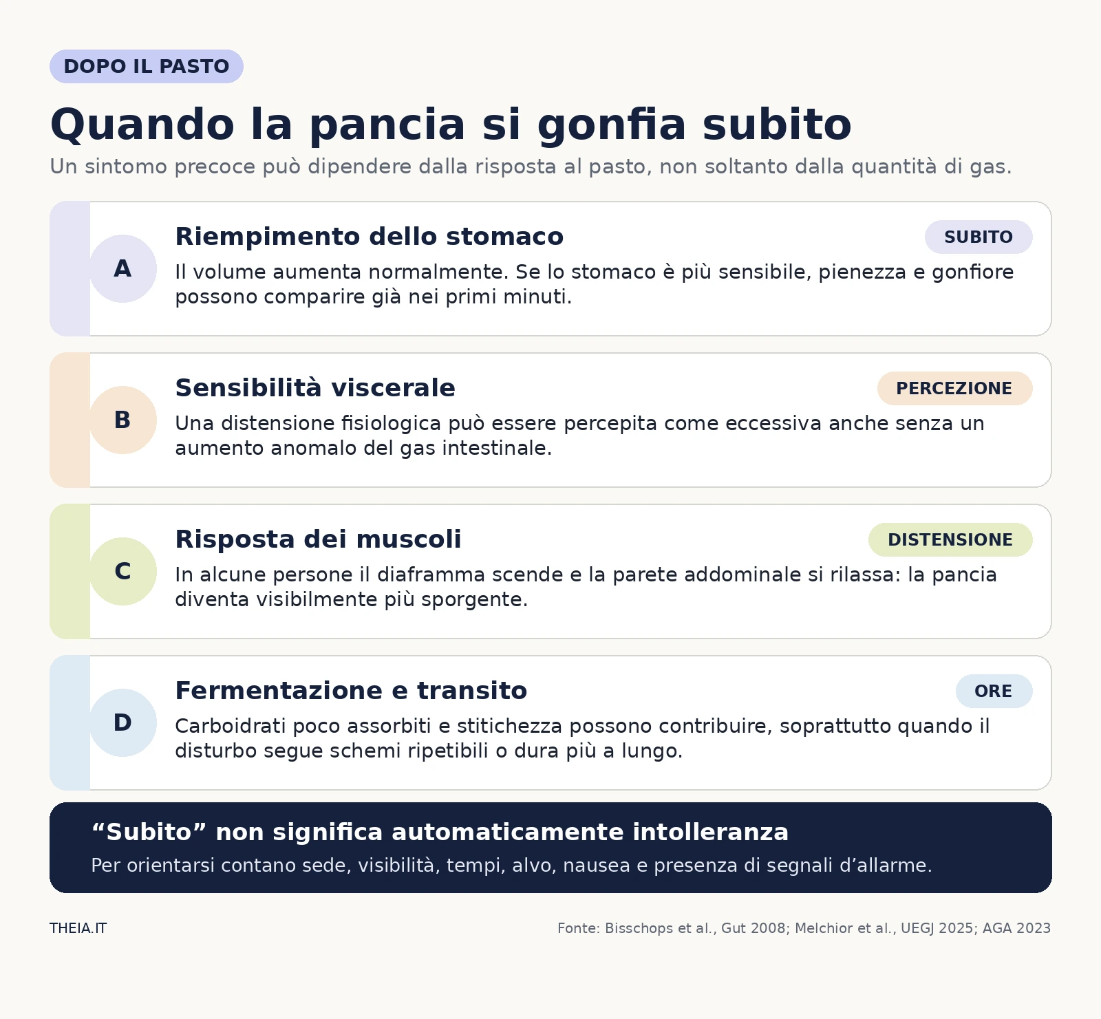 Quattro possibili meccanismi del gonfiore immediato dopo i pasti: stomaco, sensibilità, muscoli e fermentazione
