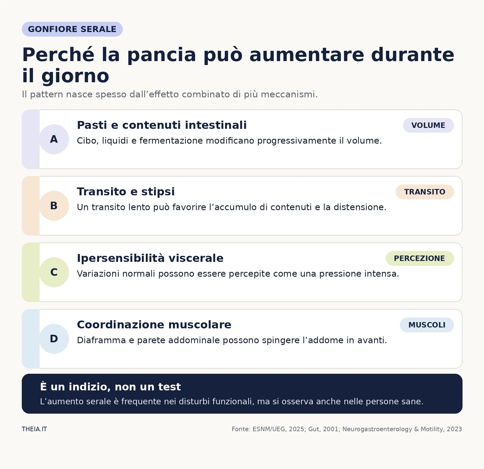Quattro fattori del gonfiore serale: contenuti intestinali, transito, ipersensibilità viscerale e coordinazione muscolare