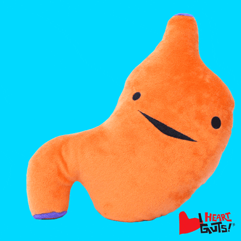Peluche a forma di stomaco arancione che si muove su sfondo azzurro