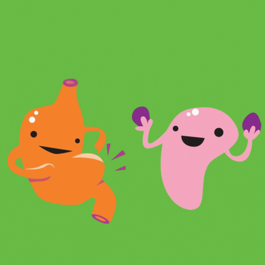 Personaggi illustrati a forma di stomaco e utero che si muovono