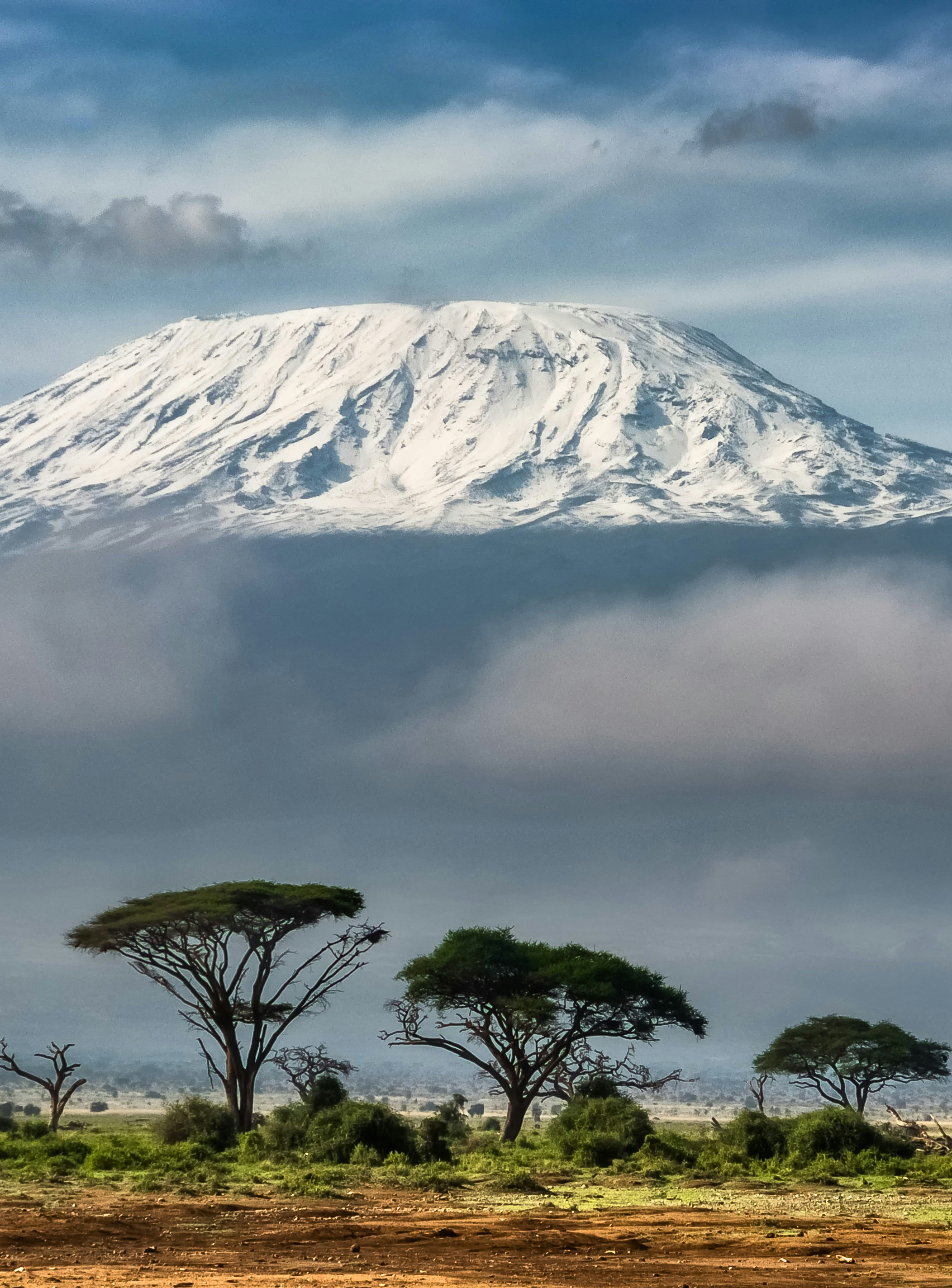 Kilimanjaro