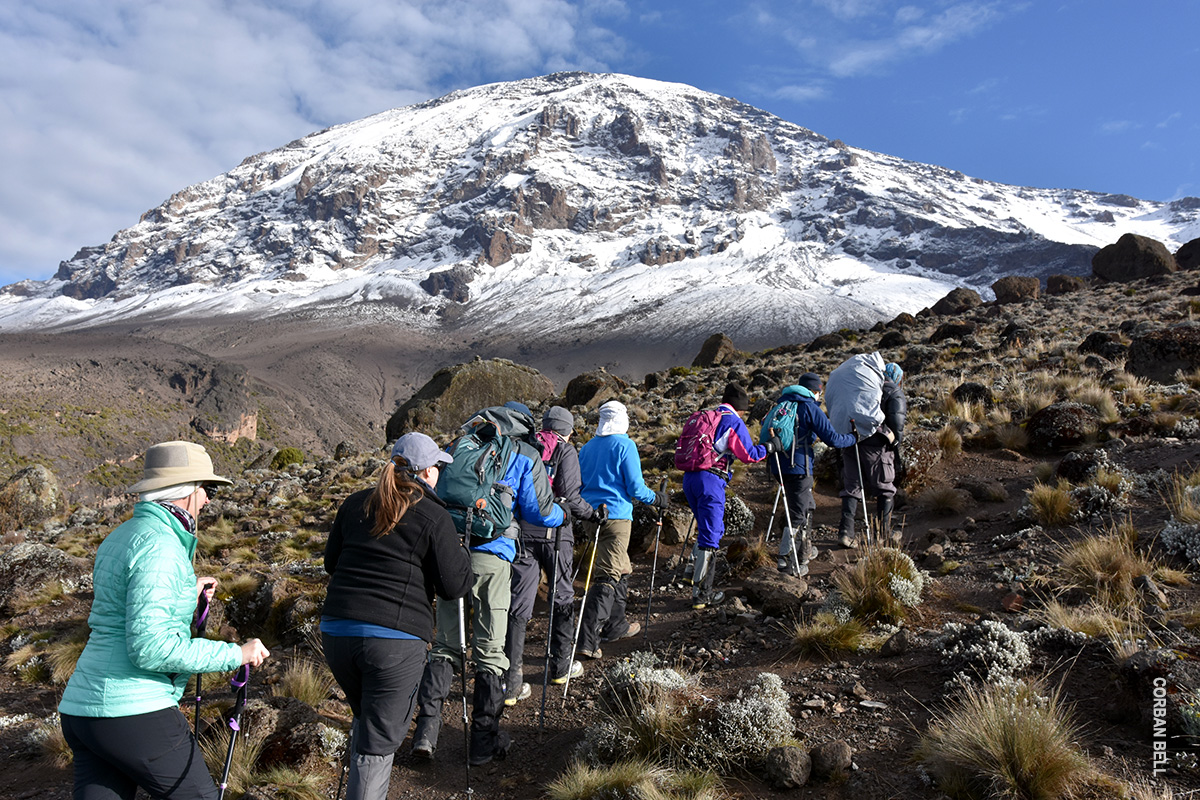 Kilimanjaro