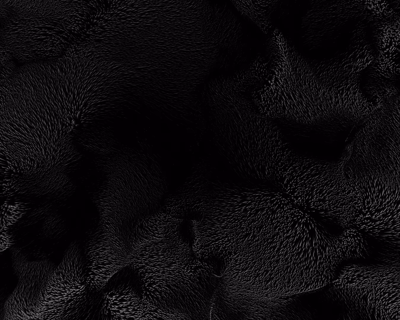 Textura para imagen de algoritmos.