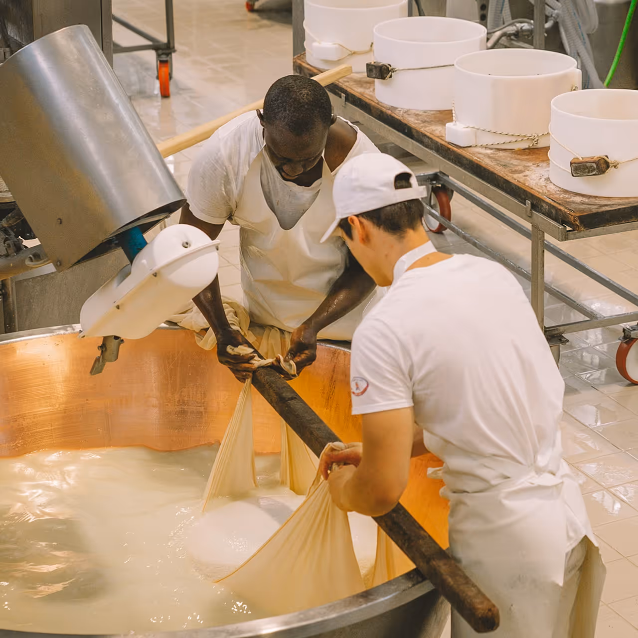 Two workers in white aprons processing curds in large copper vat in a cheese factory.