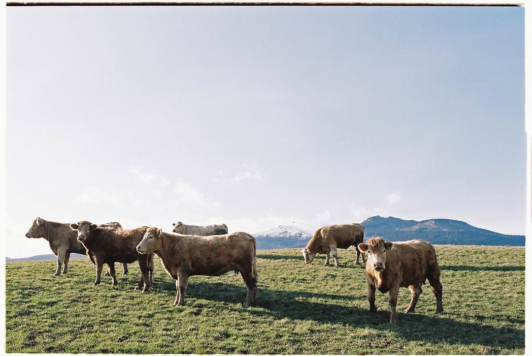 Hidden Hierarchies: How Power Dynamics Differ Across Cultures 