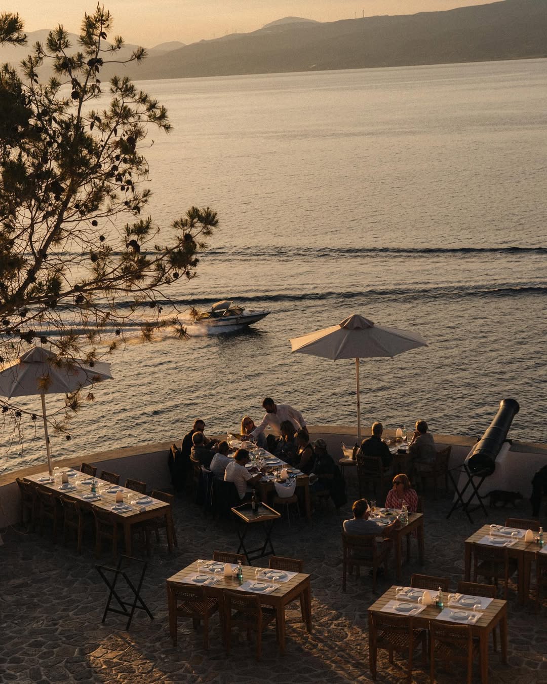 How Americans Make Decisions