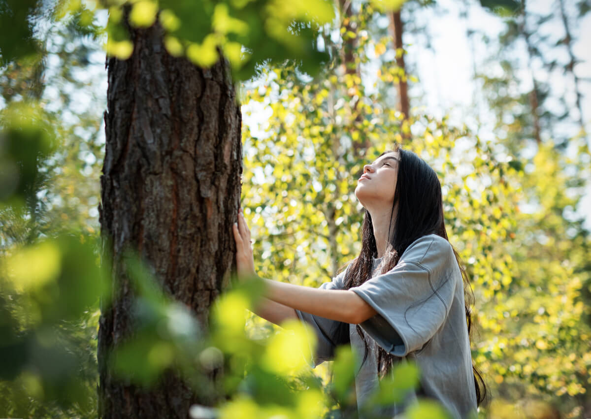 warum wir uns wieder mit den Kräften des Lebens verbinden sollten