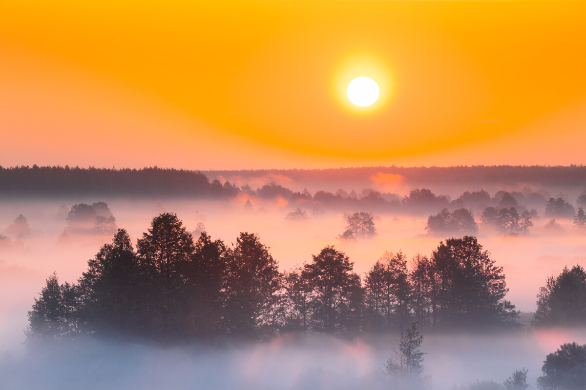 Psychologie als Spiegel des inneren Erlebens ~ wie unsere Seele den Rhythmus sucht