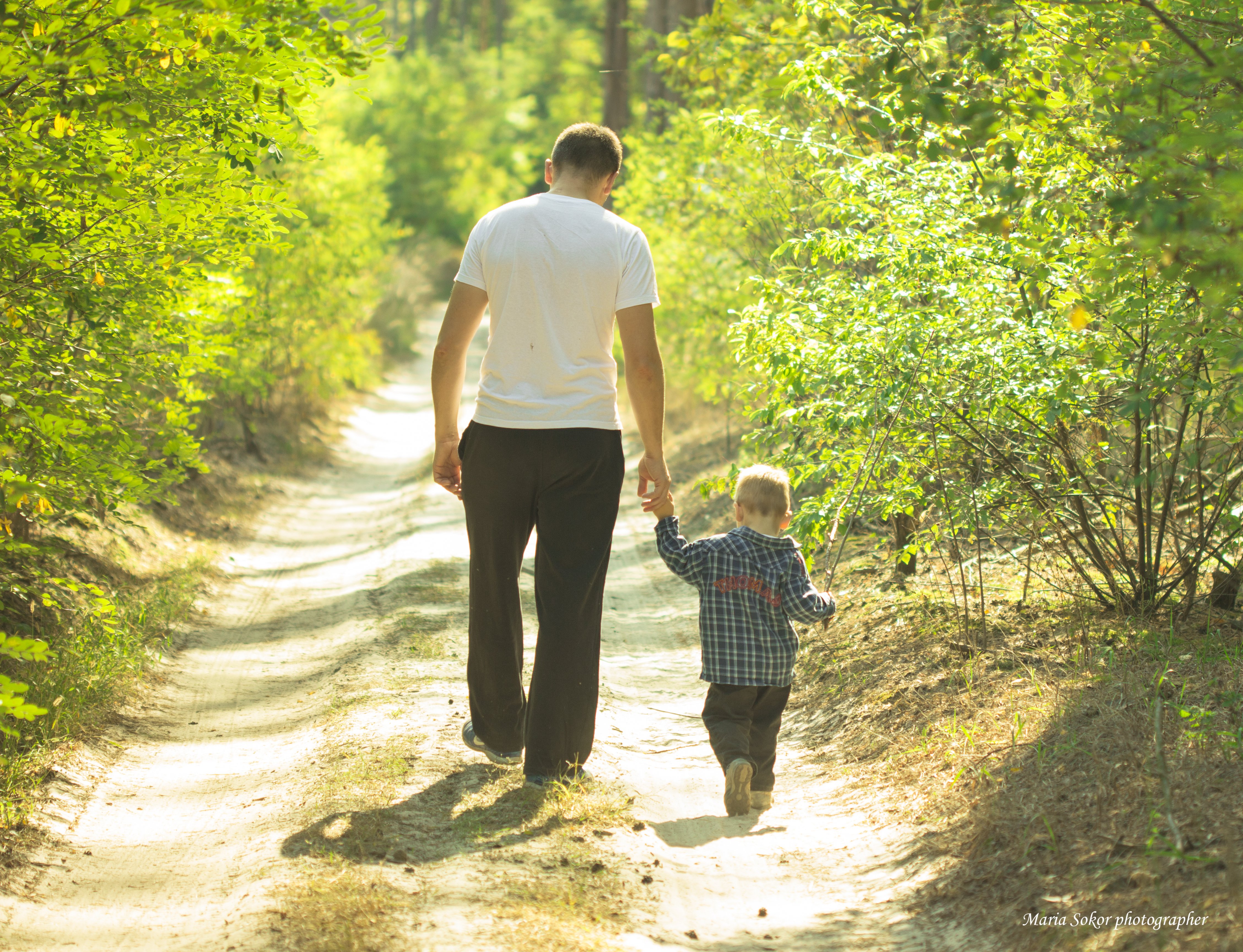 Vater und Kind gehen gemeinsam einen sonnigen Waldweg entlang