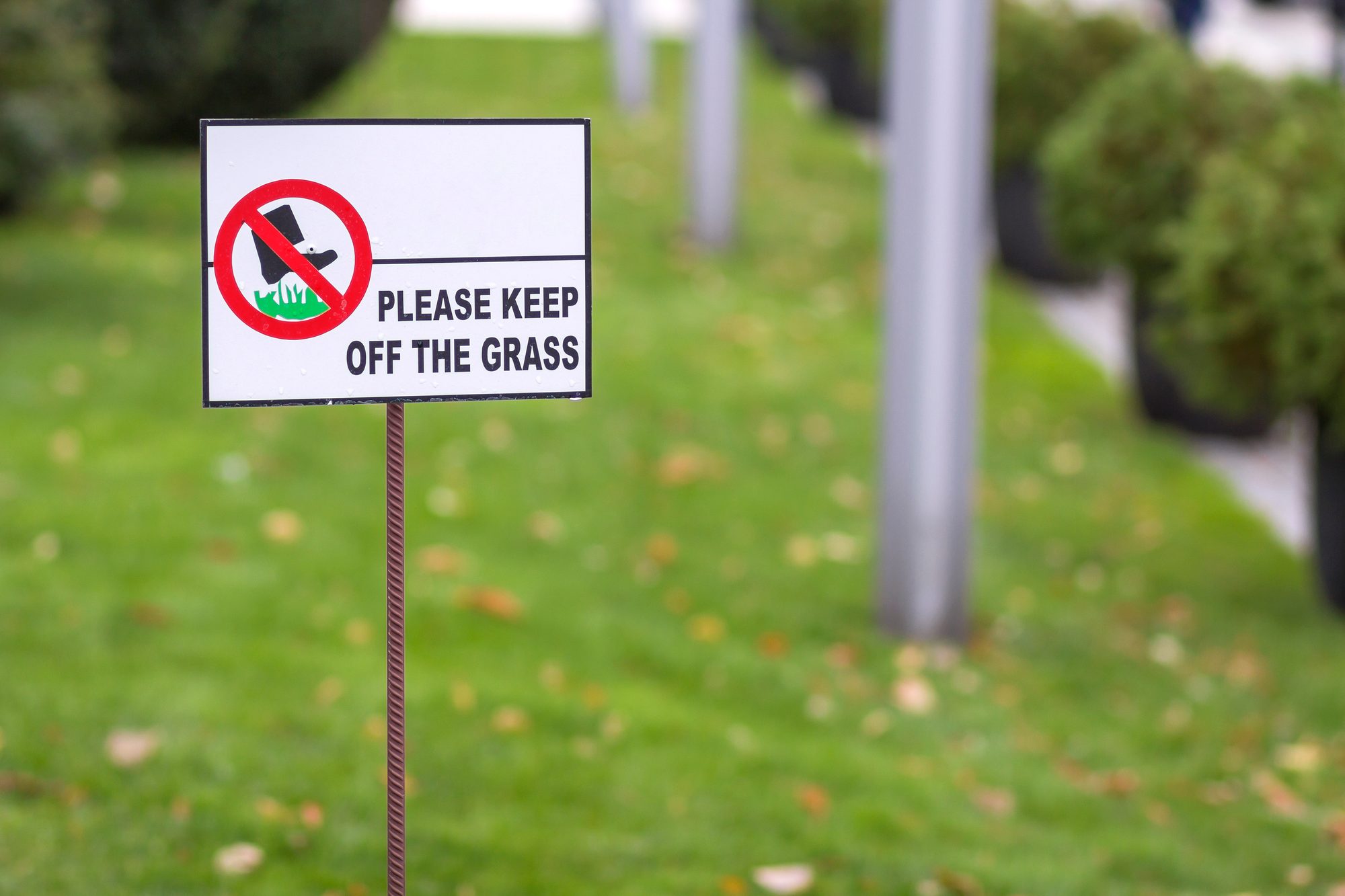 Verbotsschild Please Keep Off The Grass auf einer Rasenfläche, Sinnbild für psychologische Reaktanz: Verbote wecken erst den Reiz zum Regelbruch
