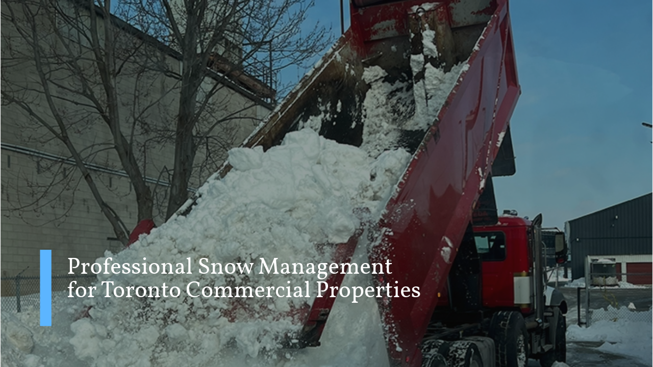 professional snow management in Toronto and GTA