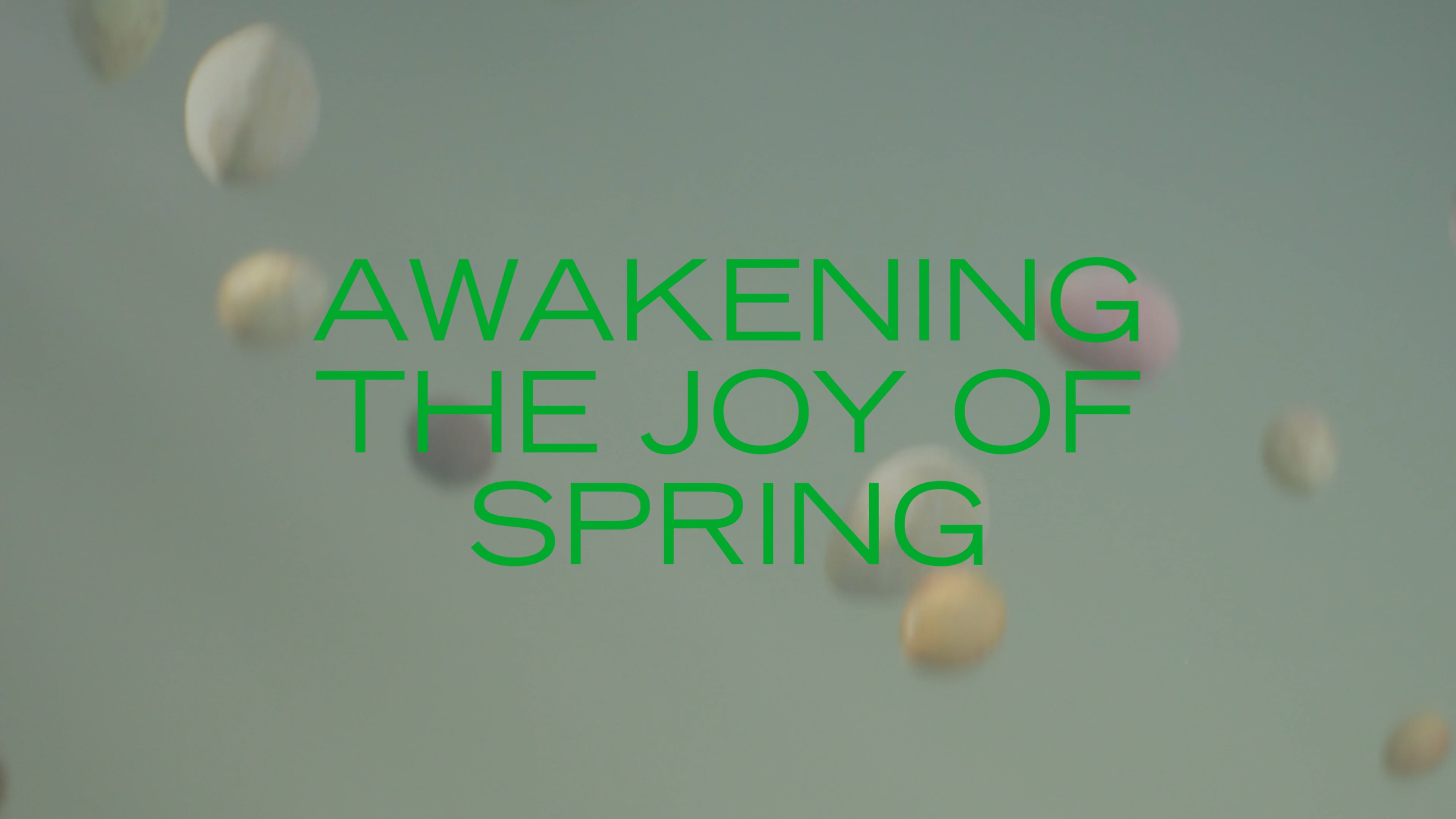 Chocolate eggs falling and text saying "Awakening The Joy of Spring"