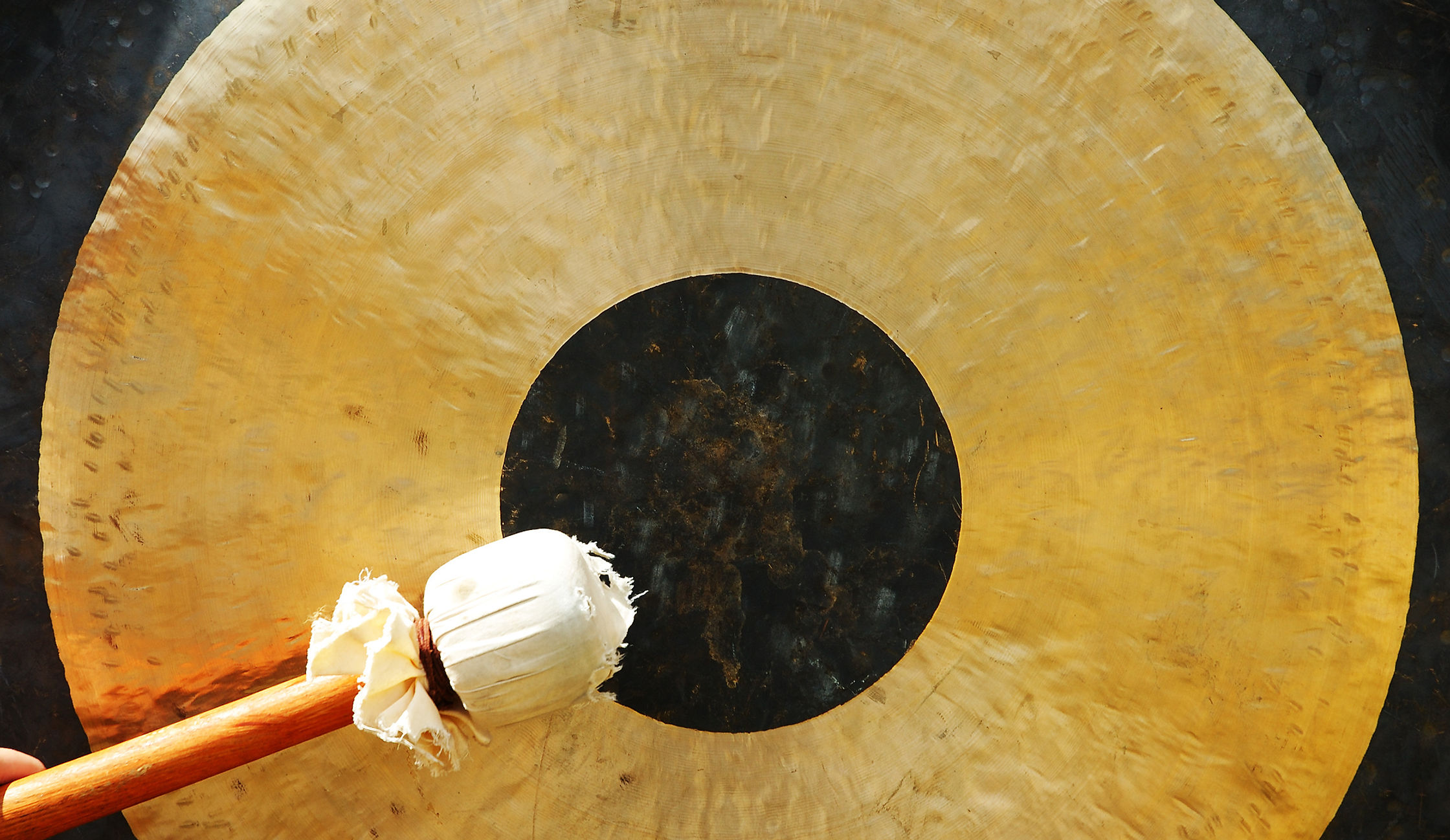 Dr. Simone Goldhammer