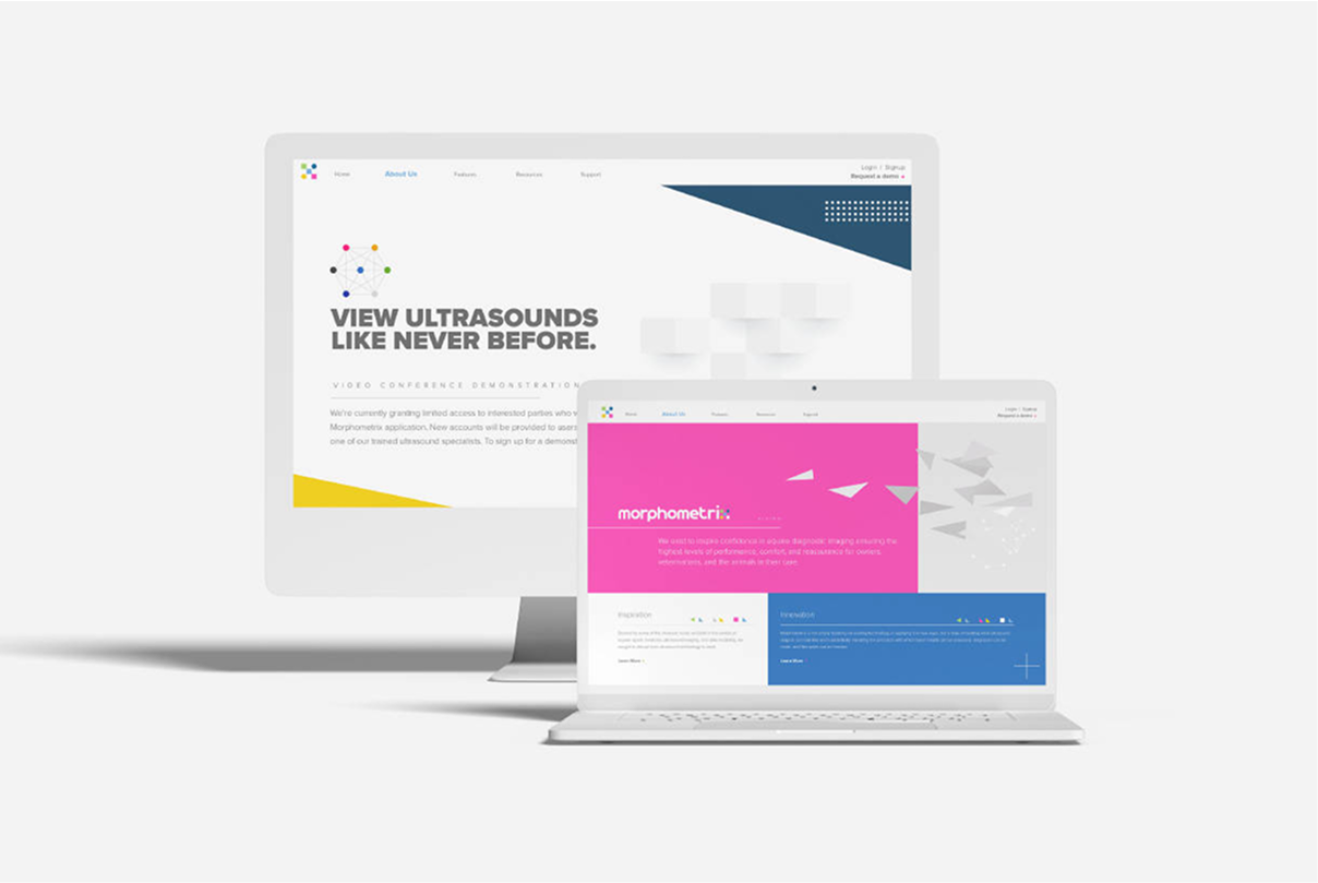 An intuitive, research-focused UI/UX design for Morphometrix—crafted to present complex biometric data with clarity through streamlined navigation, clean visuals, and a science-backed interface.