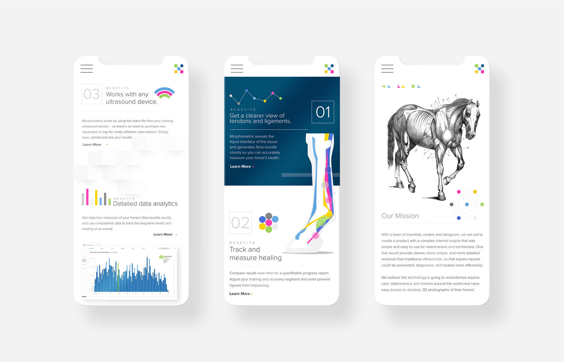 An intuitive, research-focused UI/UX design for Morphometrix—crafted to present complex biometric data with clarity through streamlined navigation, clean visuals, and a science-backed interface.