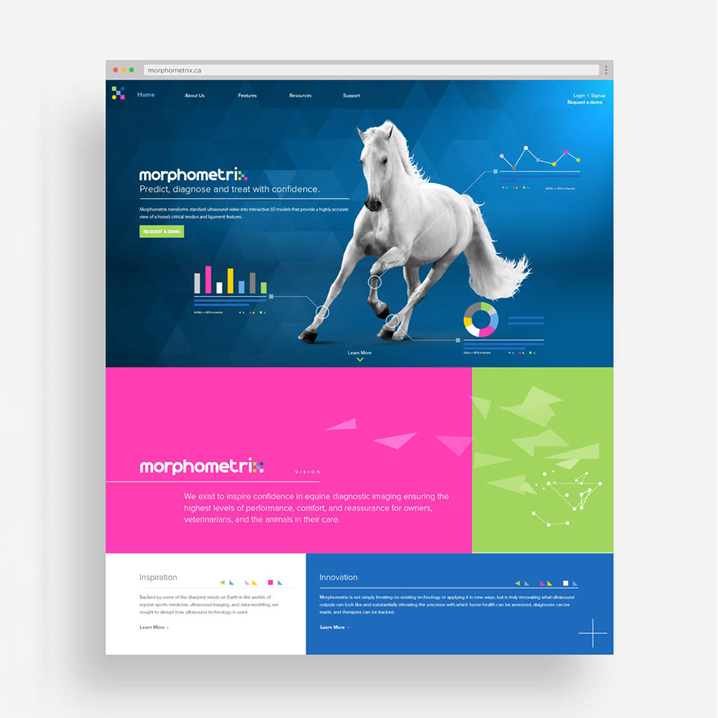 An intuitive, research-focused UI/UX design for Morphometrix—crafted to present complex biometric data with clarity through streamlined navigation, clean visuals, and a science-backed interface.