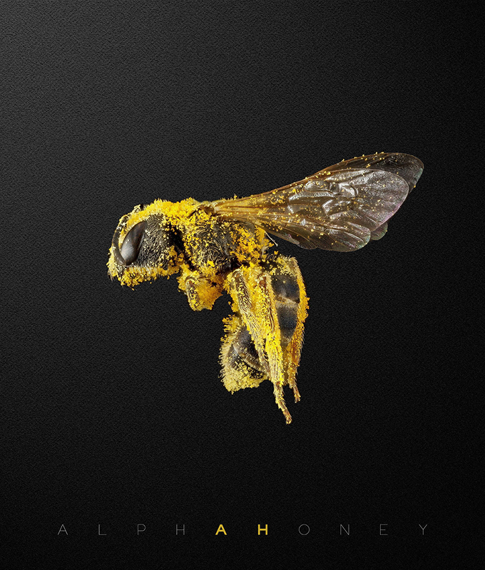 Case study preview for Alpha Honey—a bold, modern brand rooted in nature. Packaging, branding, UI/UX, and social media crafted to help a family-run honey business thrive online and on shelves.