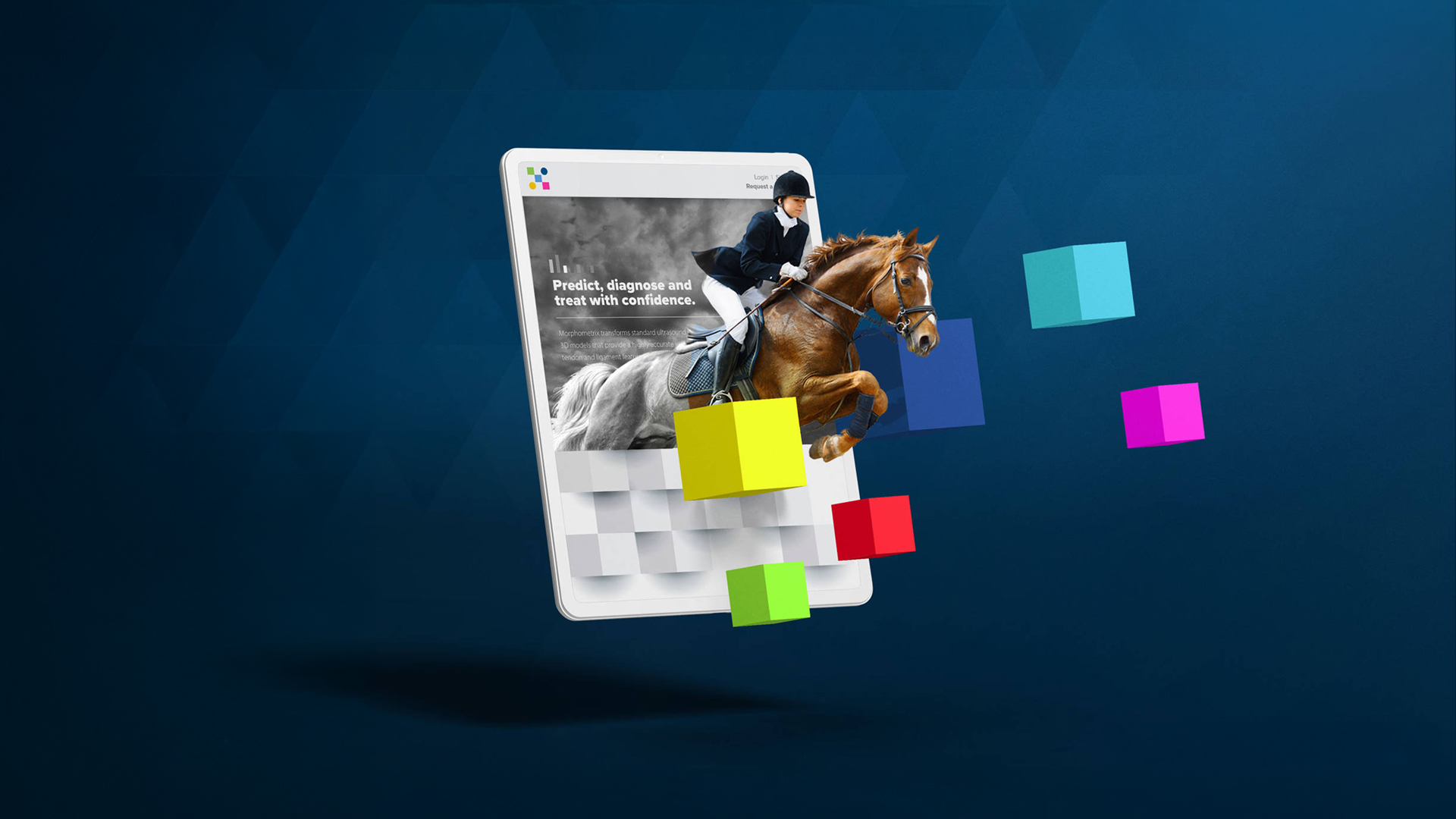 A streamlined website for Morphometrix that translates complex biometrics into clear, actionable insights—designed for credibility, usability, and high-performance lead conversion.