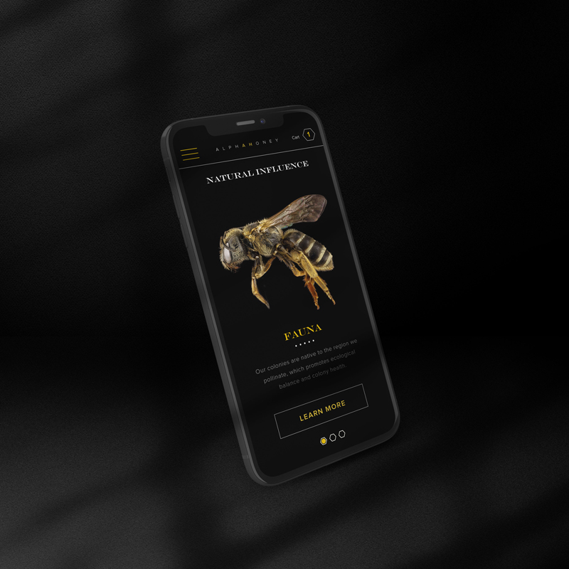A modern, story-led website for Alpha Honey, designed to reflect the brand’s bold identity and natural roots—pairing rich visuals with an intuitive, elegant user experience.