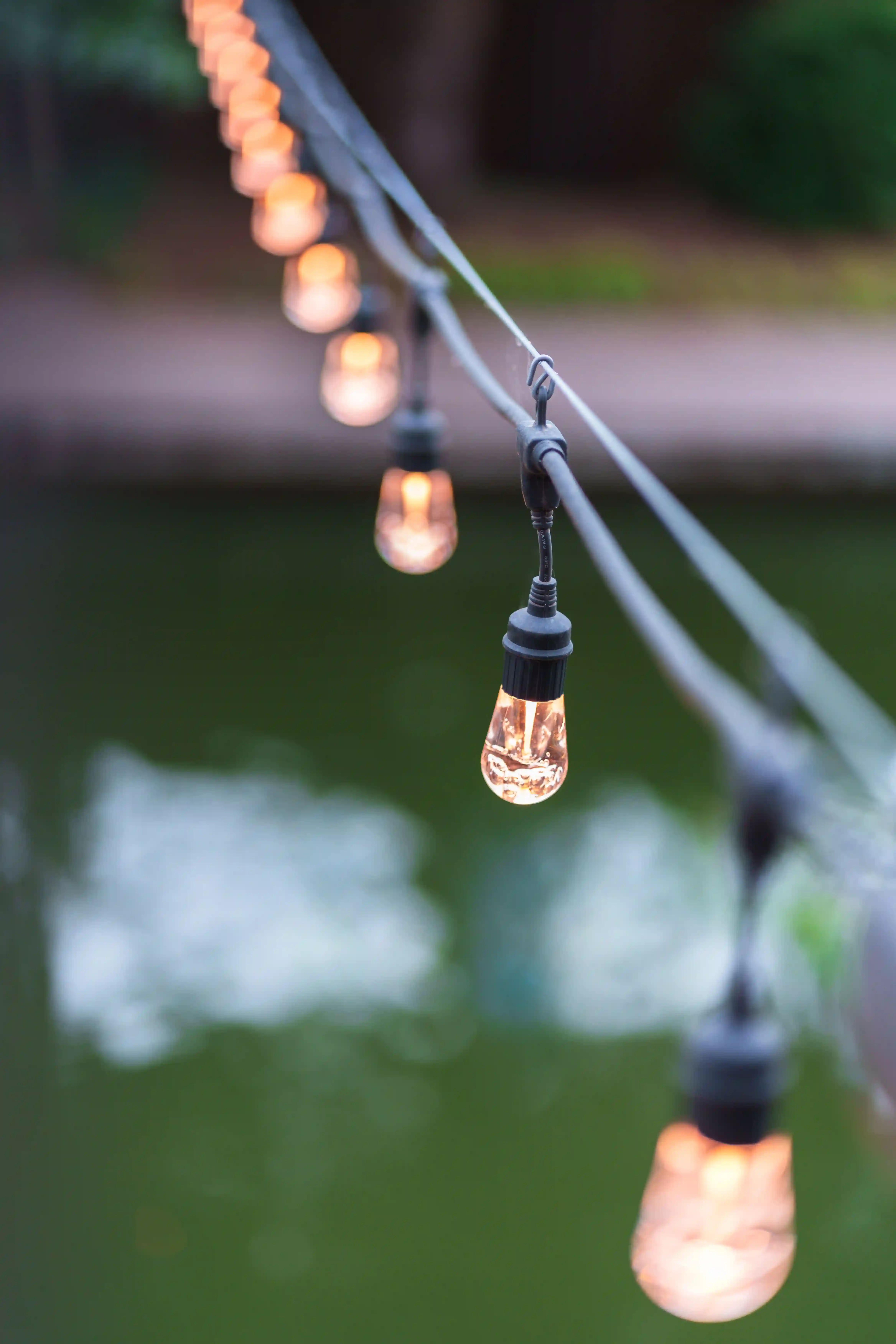 string lights in backyard
