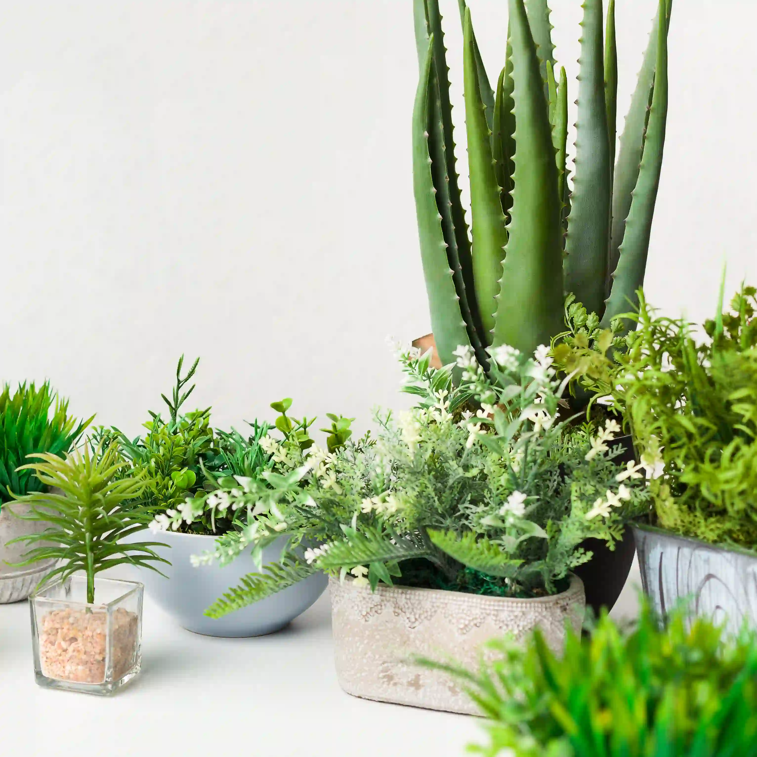 artificial plants on light table