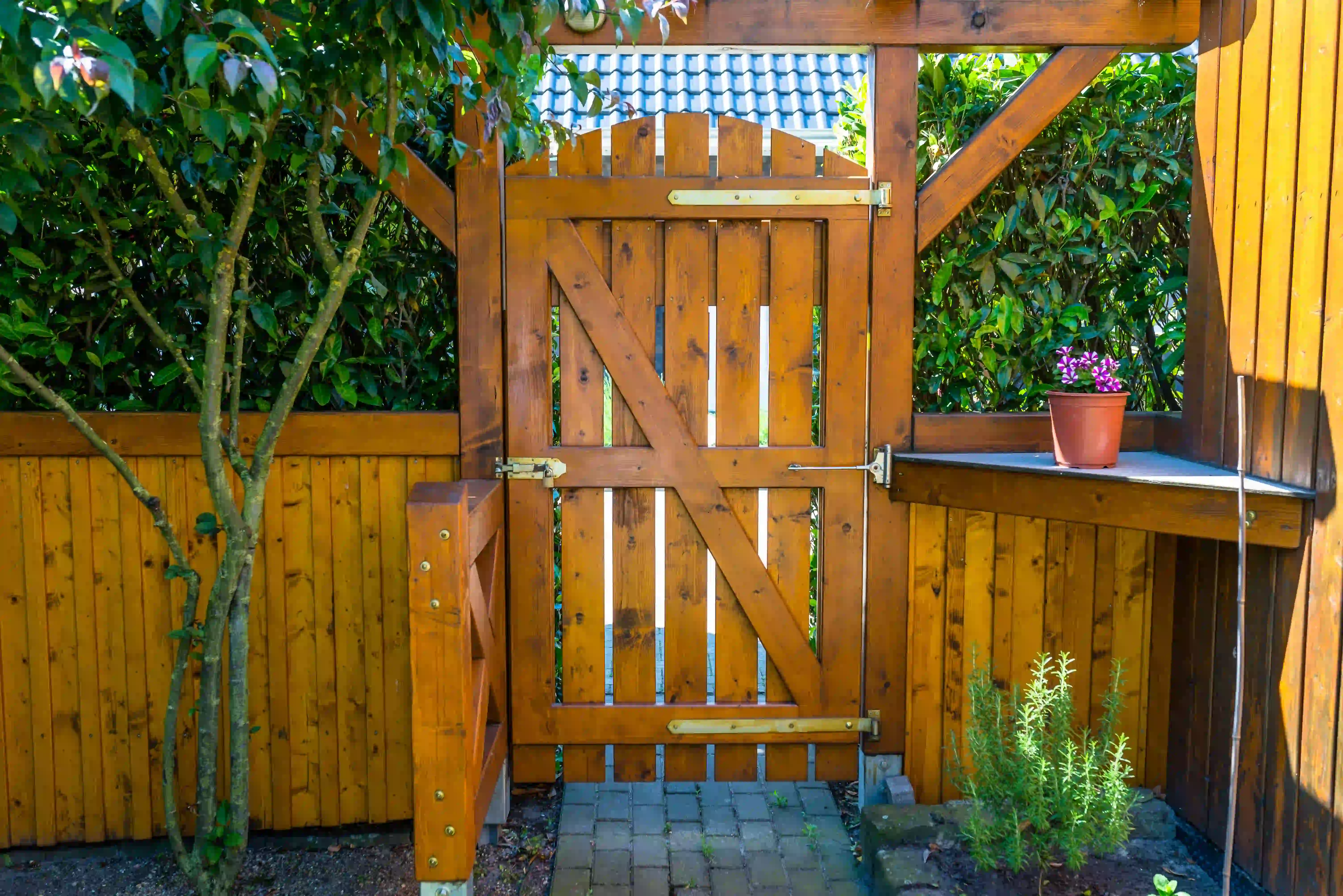 fencing and gate in backyard