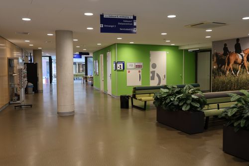 Led ziekenhuisverlichting