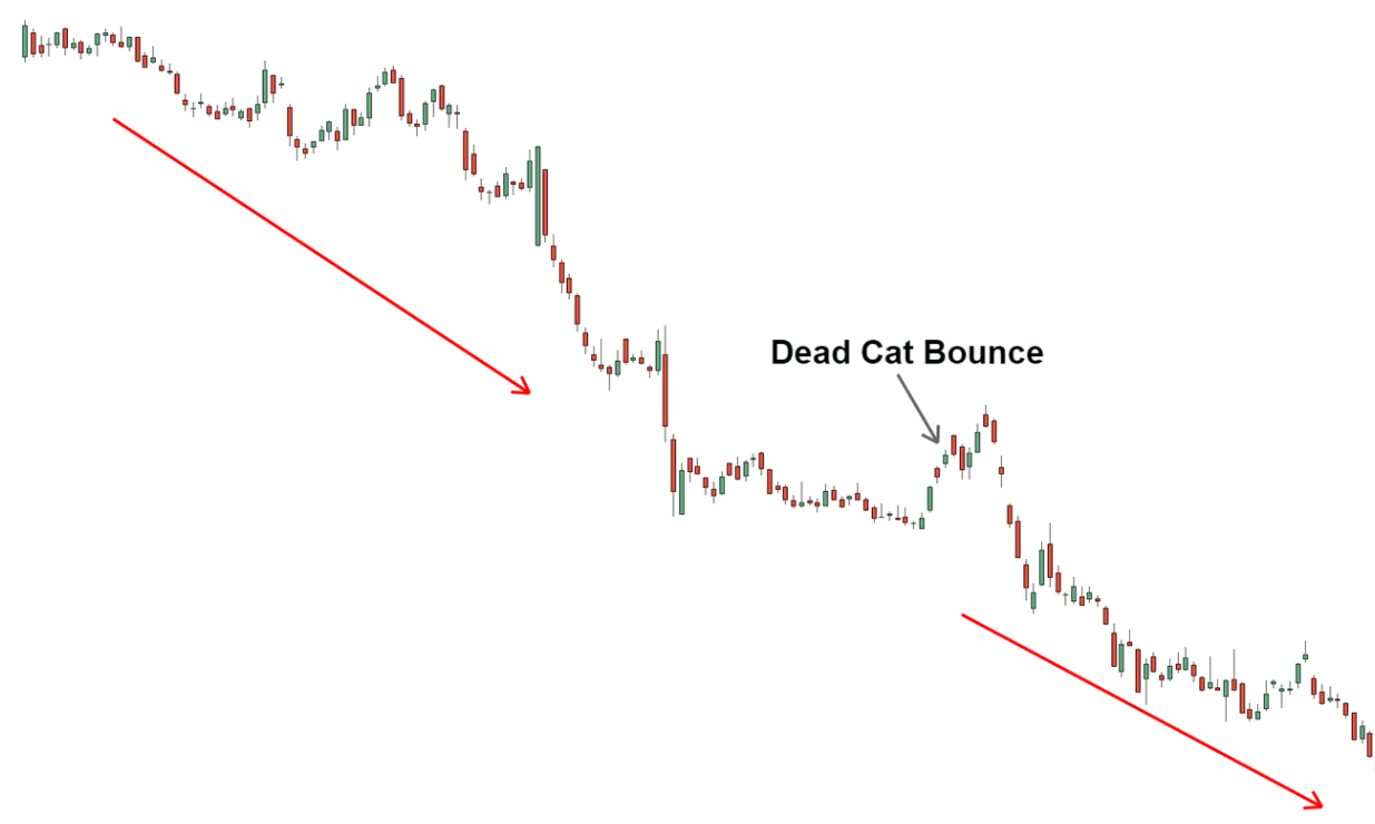 How Does the Dead Cat Bounce Work in Trading