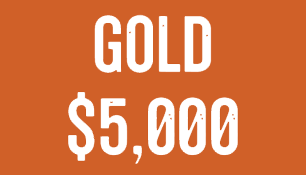 Hope on the Slopes event gold sponsorship $5000