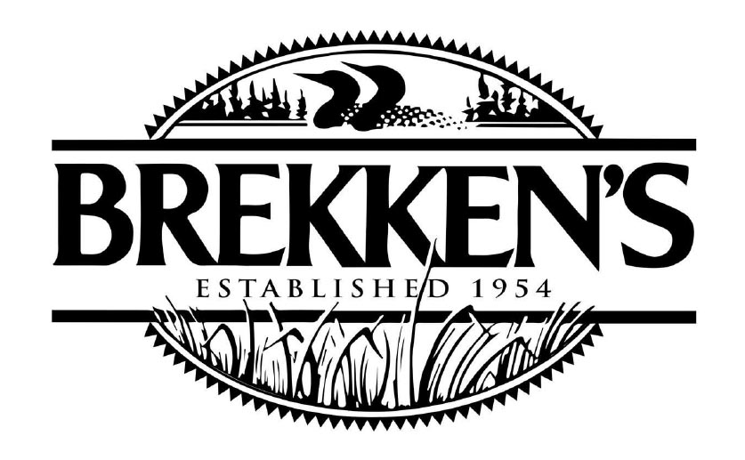 brekken's shoes brainerd