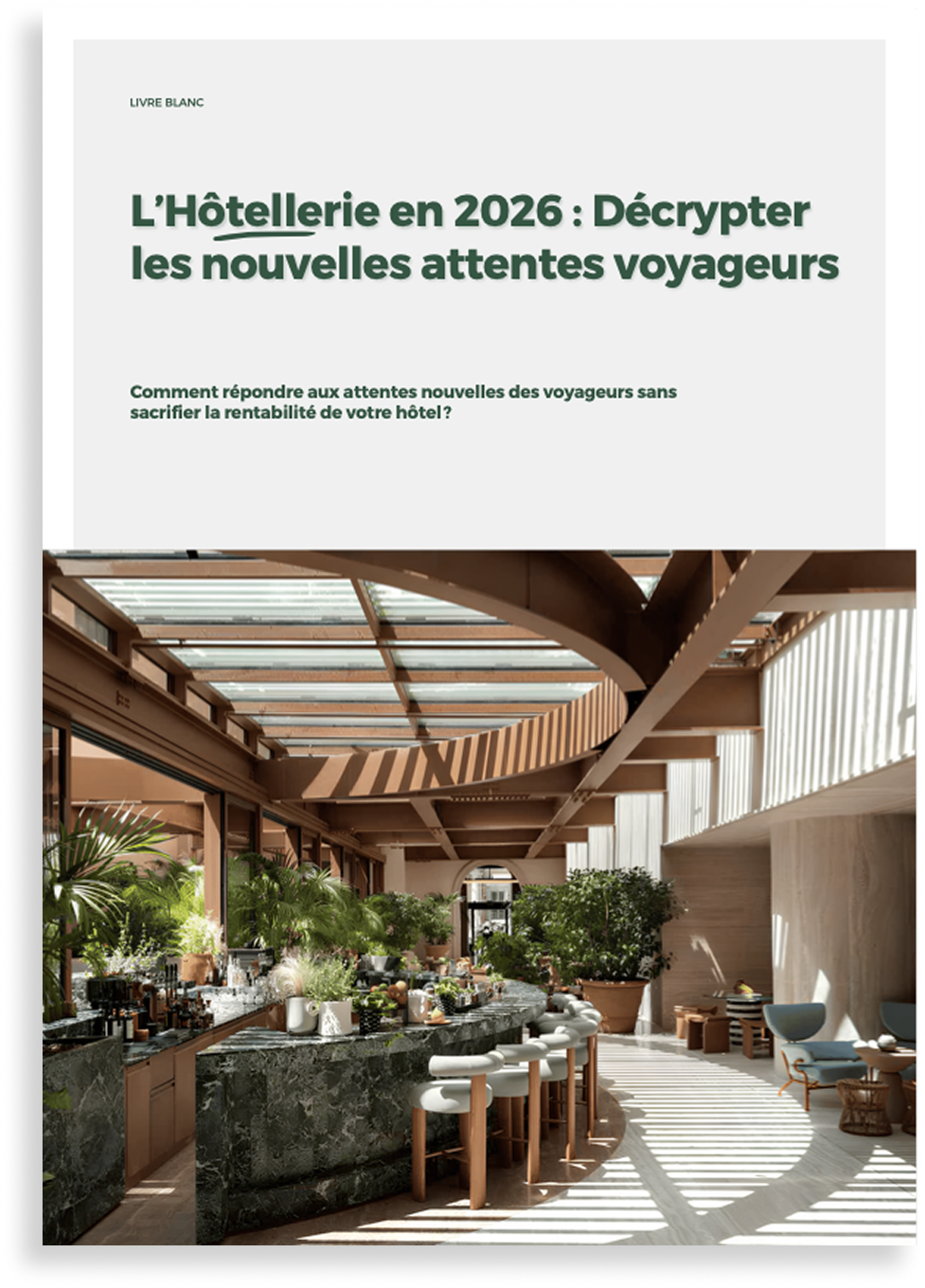 Photo de la couverture du e-book avec une photo des flux d'un cerveau humain