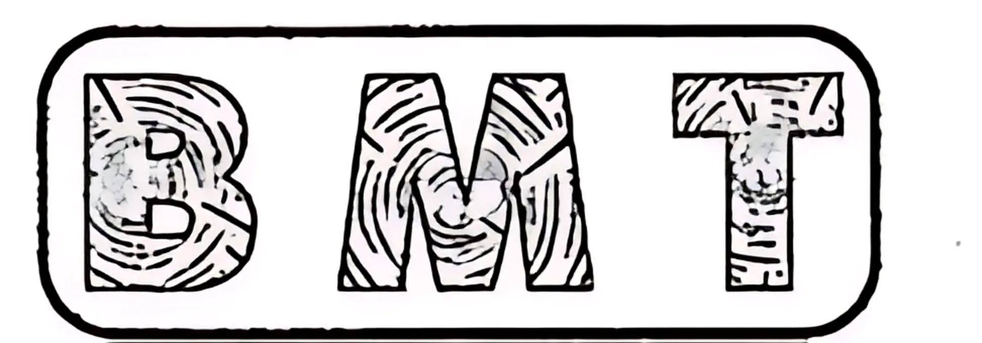 Logo de l'entreprise BMT