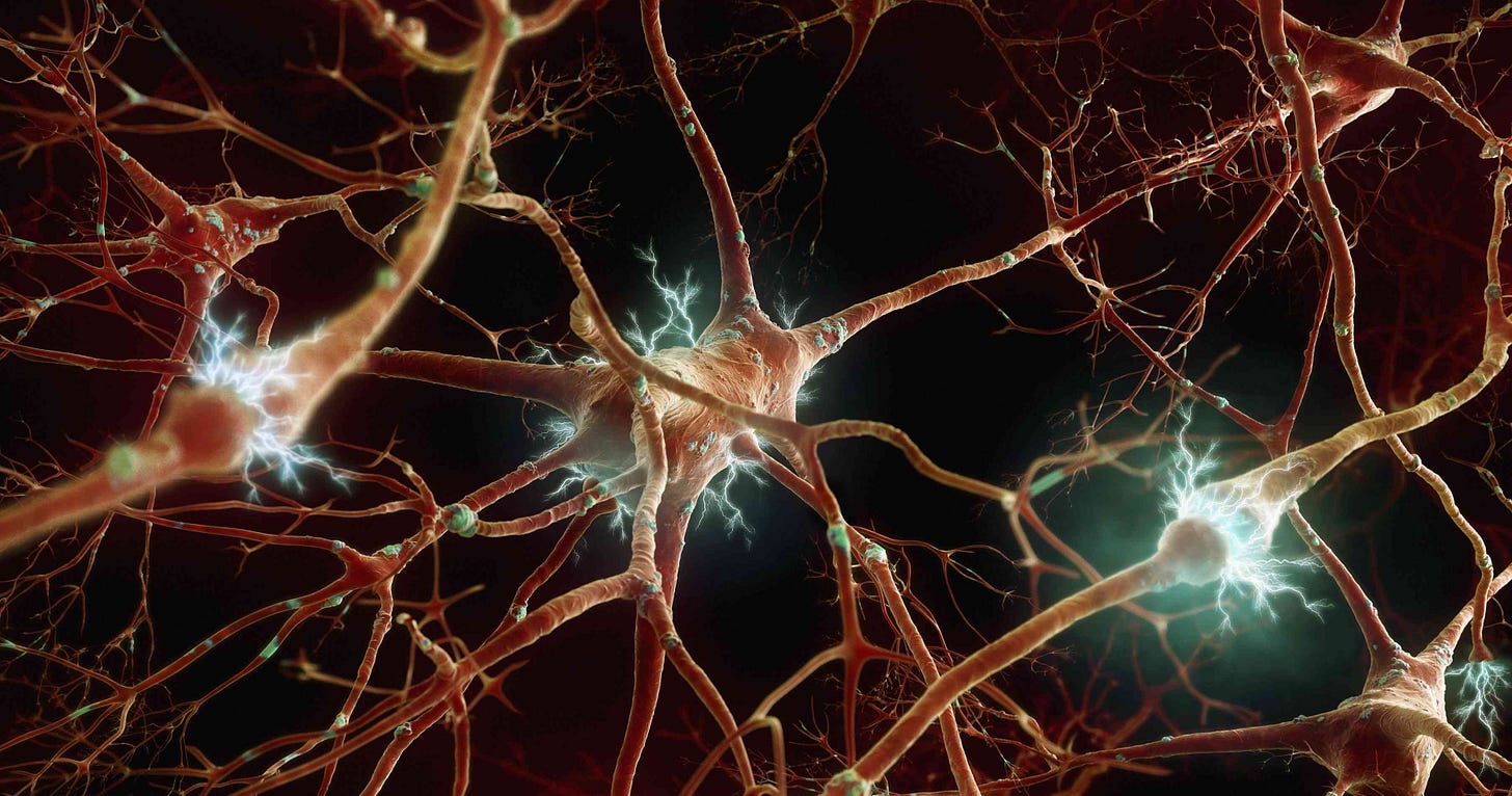 Illustration of a network of neurons