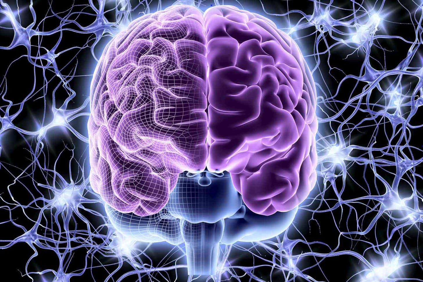 Illustration of a brain surrounded by neurons