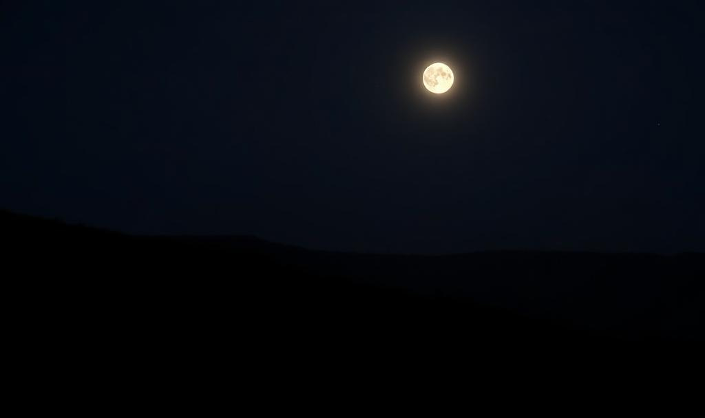 Moon in the night sky