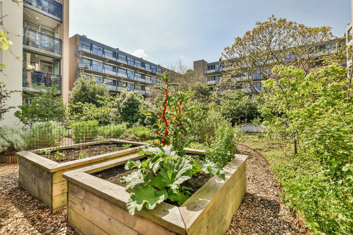 urban garden at an apartment building