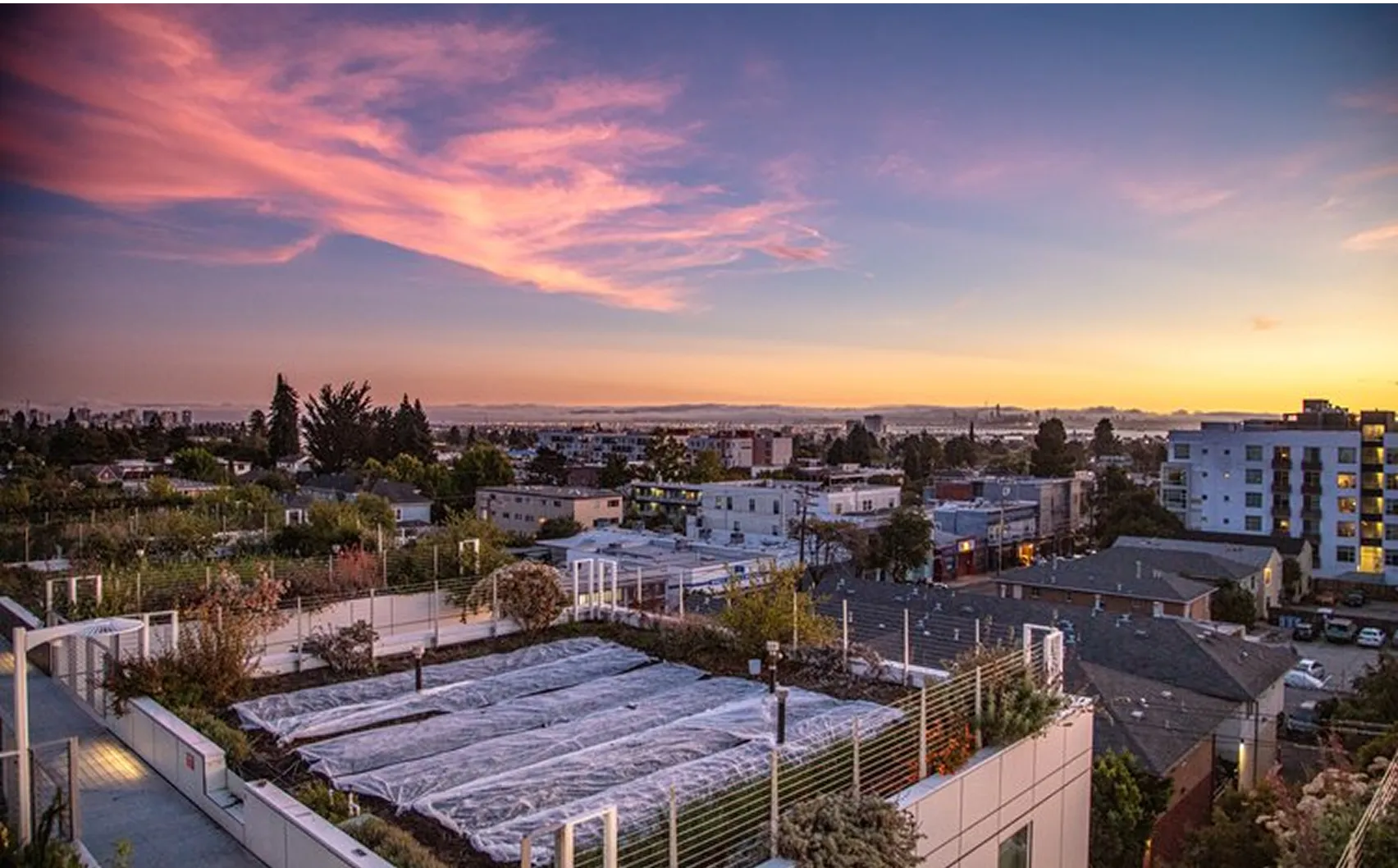 city skyline rooftop gardens
