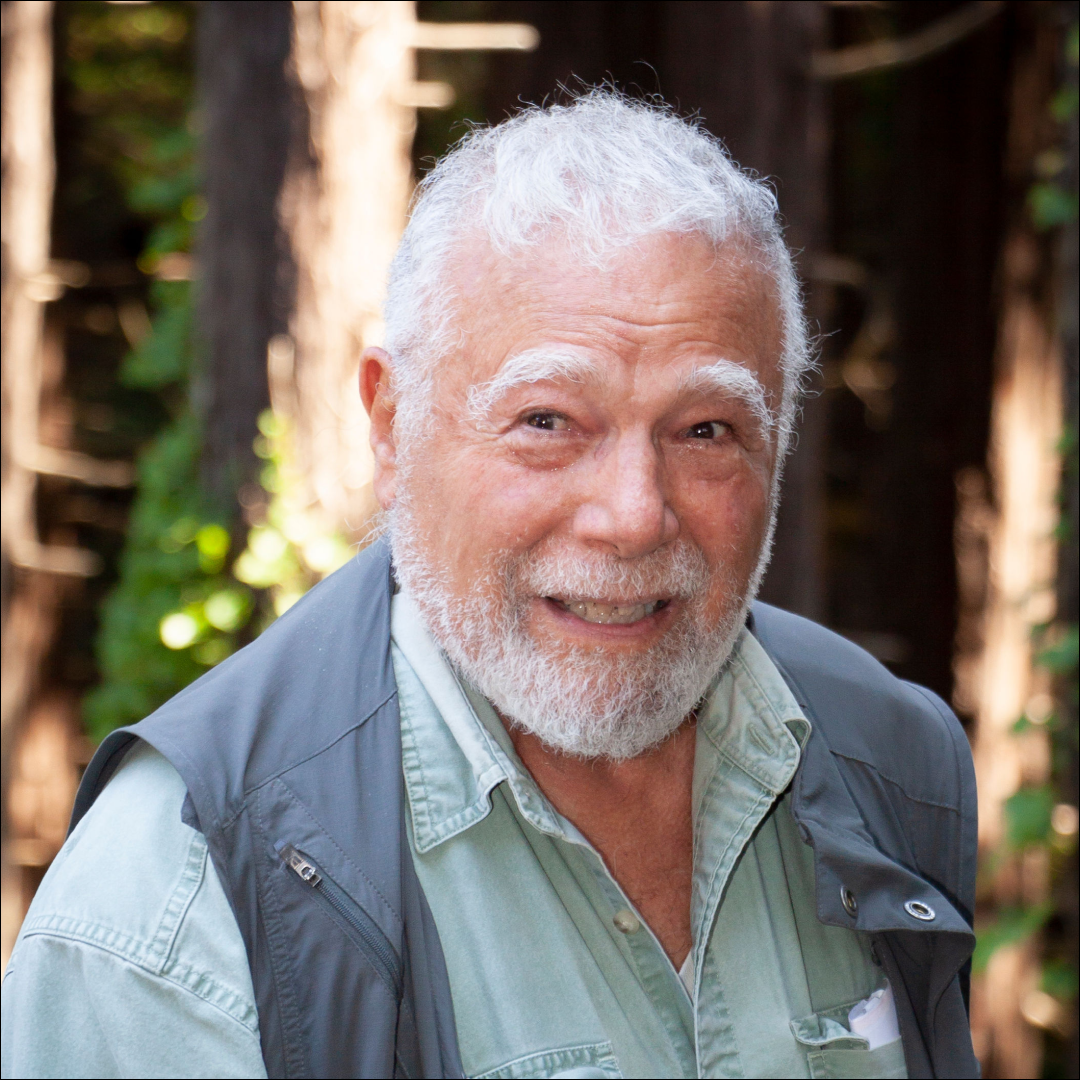 Jeff Romm