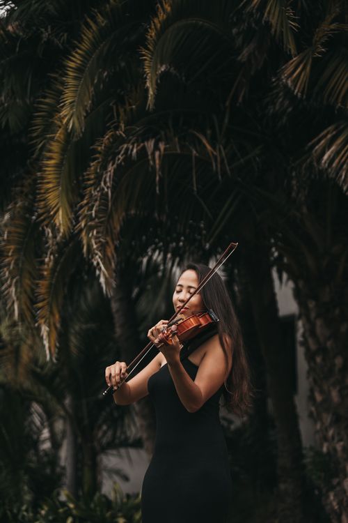 Baethoven playing violin outdoors with palm trees in background