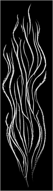 Underwater plants
