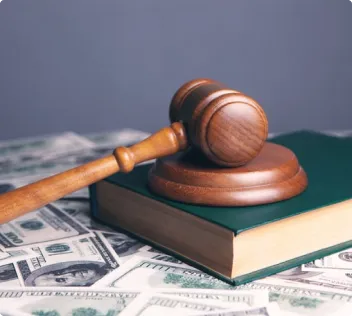 Law Study image