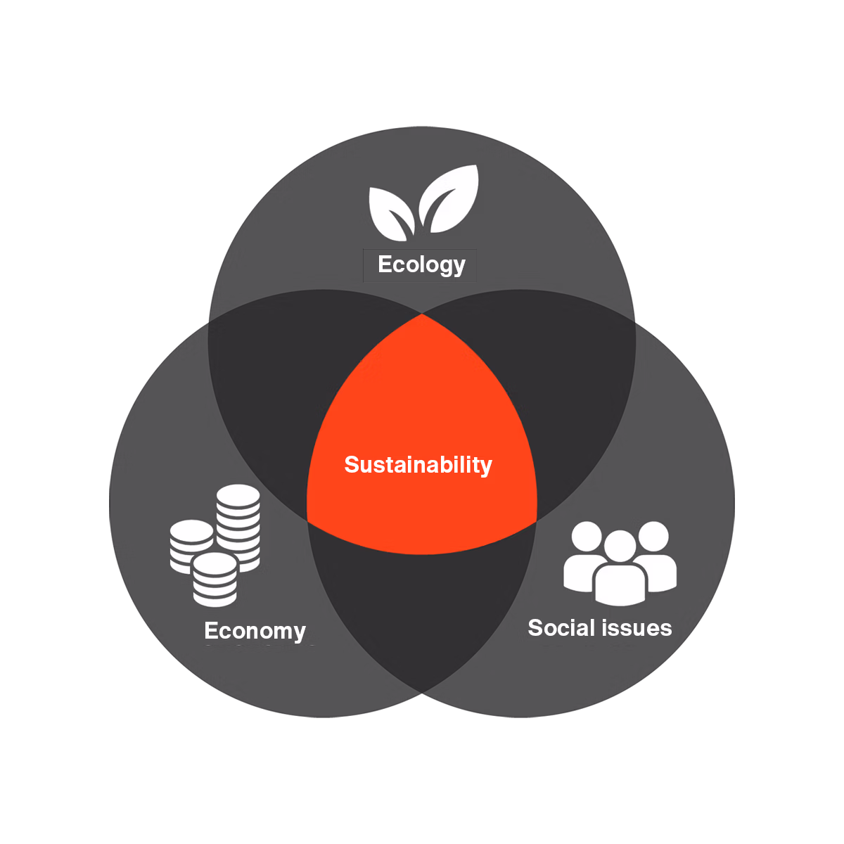 Graphic illustrating the three elements of sustainability for marbet: ecology, economy and social issues
