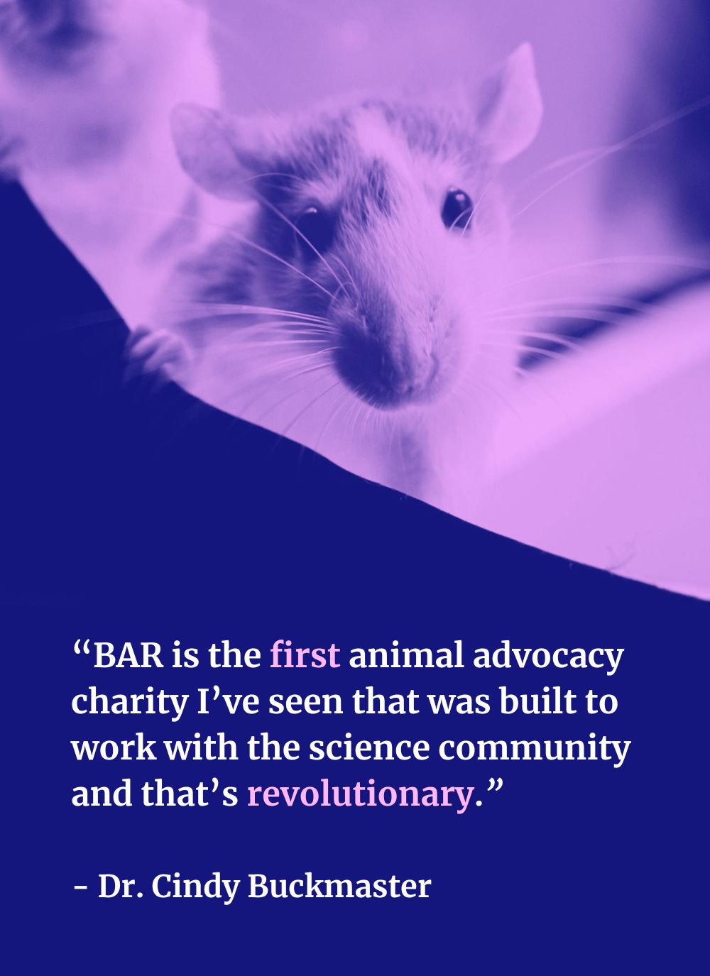 Close-up of a rat’s face with a quote about BAR being the first animal advocacy charity built to work with the science community, attributed to Dr. Cindy Buckmaster.