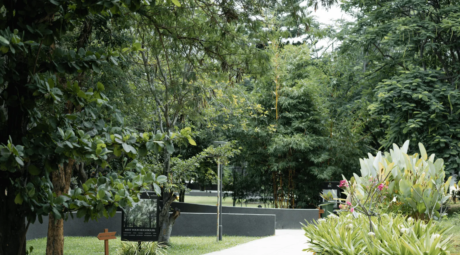 Large Trees