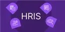 What Is HRIS? Everything You Need To Know
