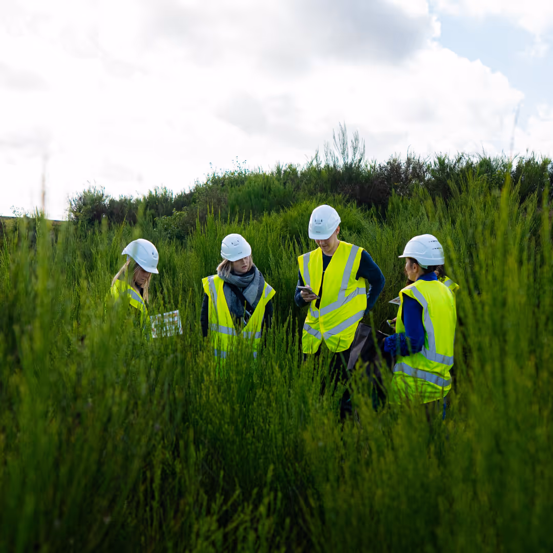 På udkig efter biodiversiteten i området