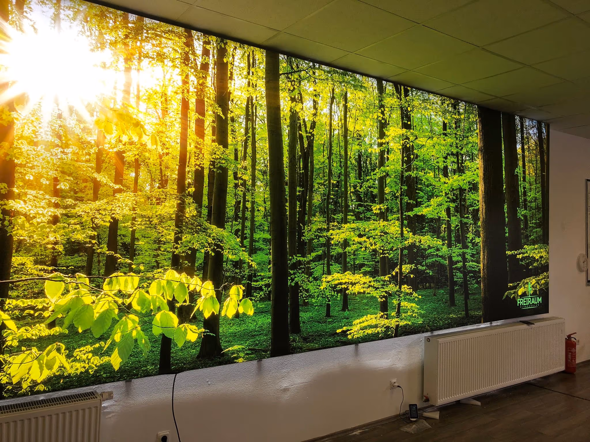 Indoor Banner Freiraum Fitness