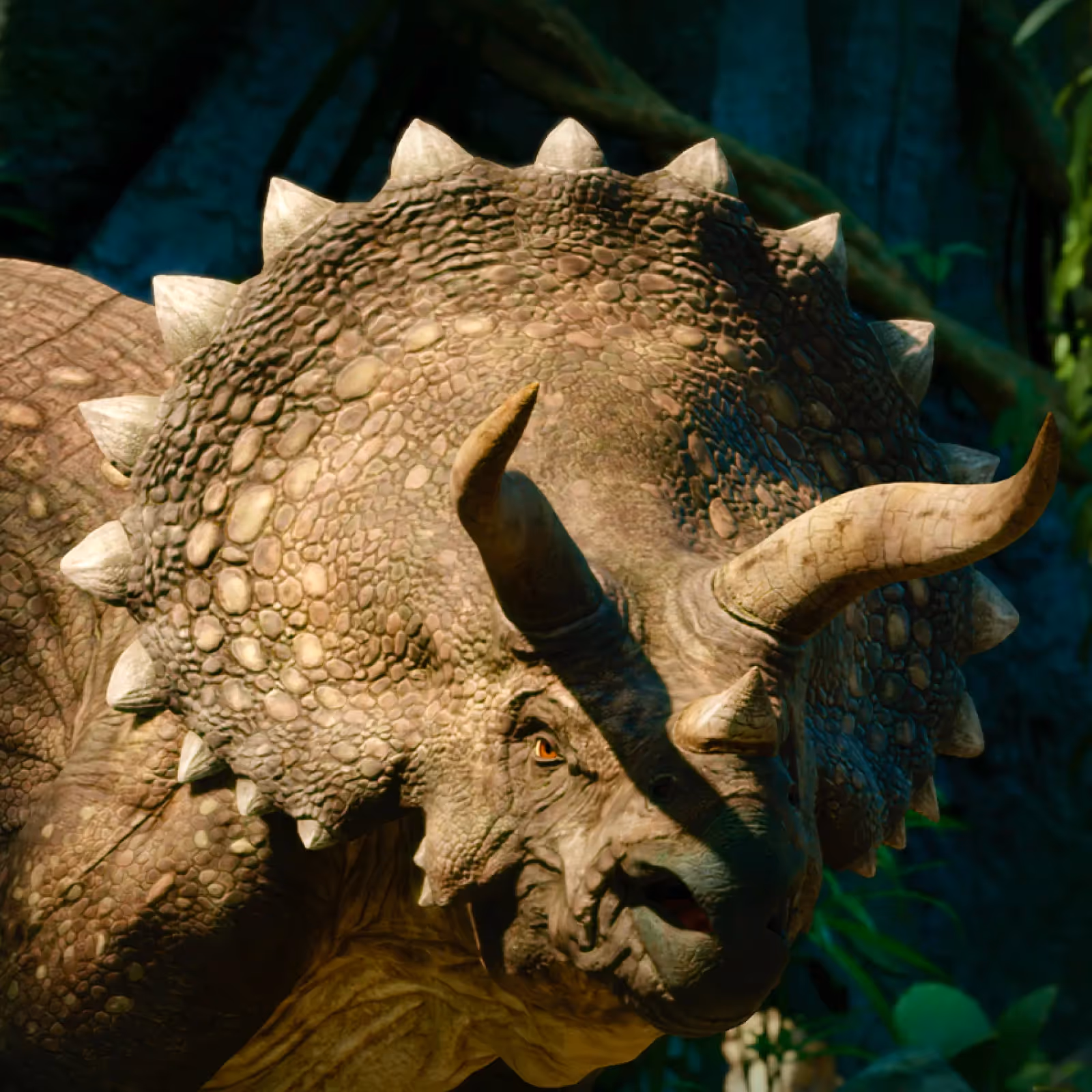 Download Evolve Banner