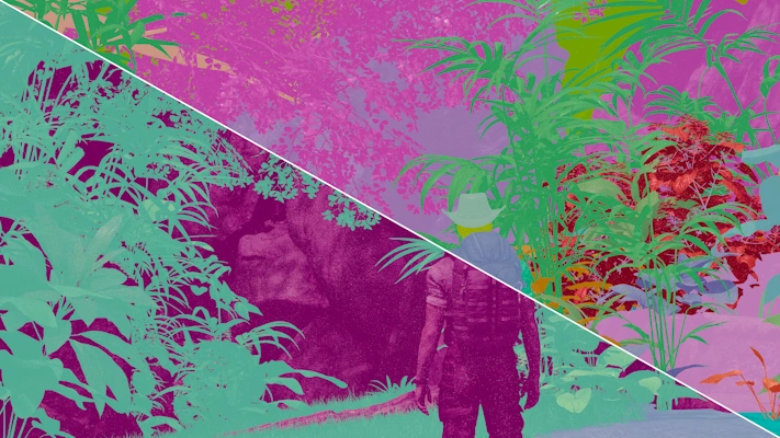 Shader Execution Reordering Benchmarked