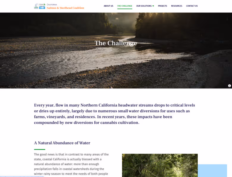 California Salmon and Steelhead Coalition Website Redesign - Challenge page